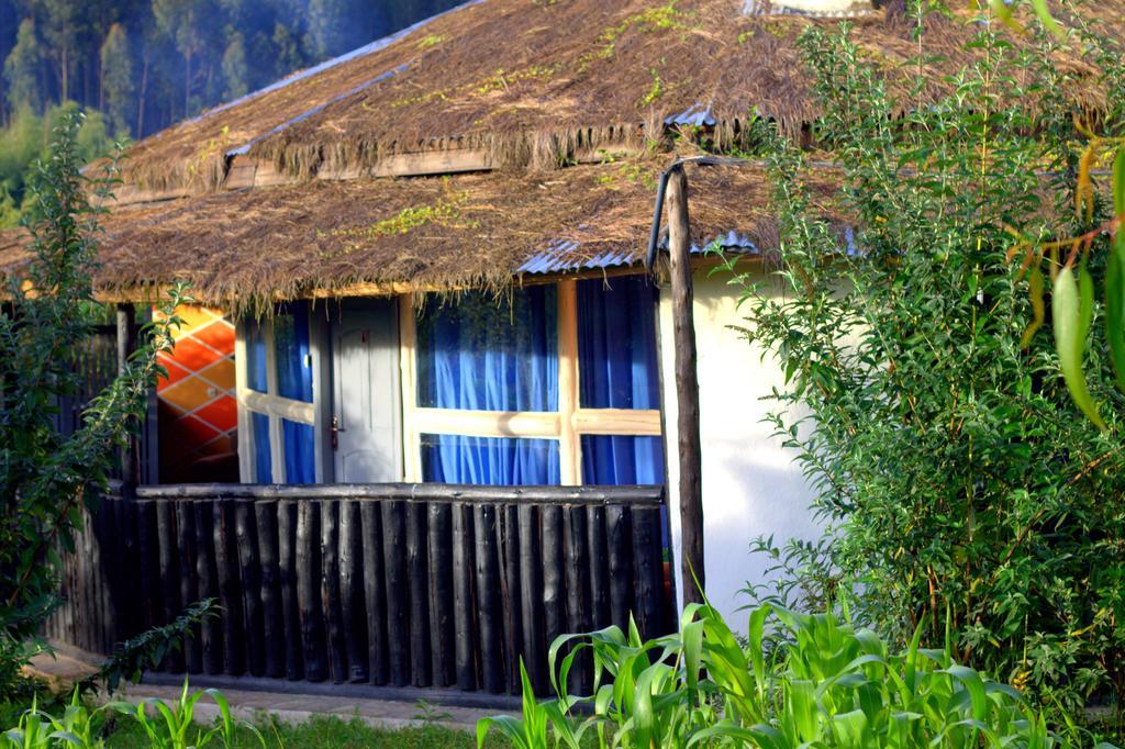 Le Bambou Gorilla Lodge Kinigi Cameră foto